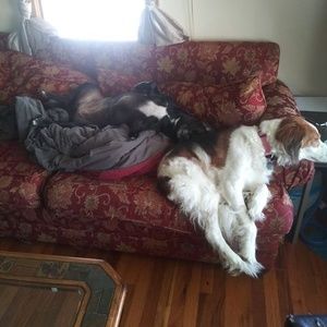 Meet your Posher, Jeni